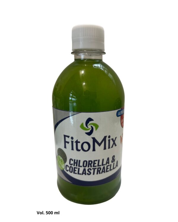 Coelastrella y Chlorella